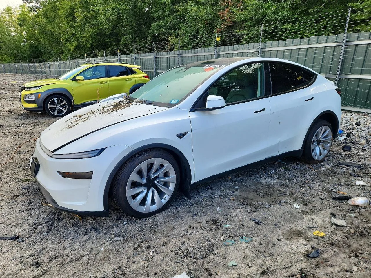 Foto de 2026 Tesla Model Y