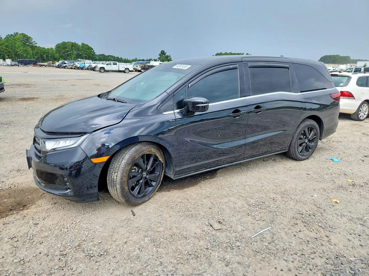 Foto de 2024 Honda Odyssey