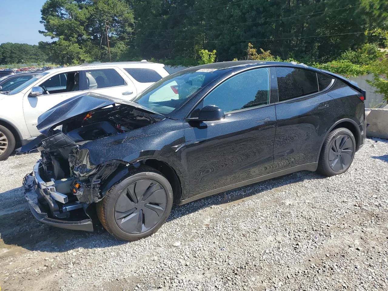 Foto de 2026 Tesla Model Y